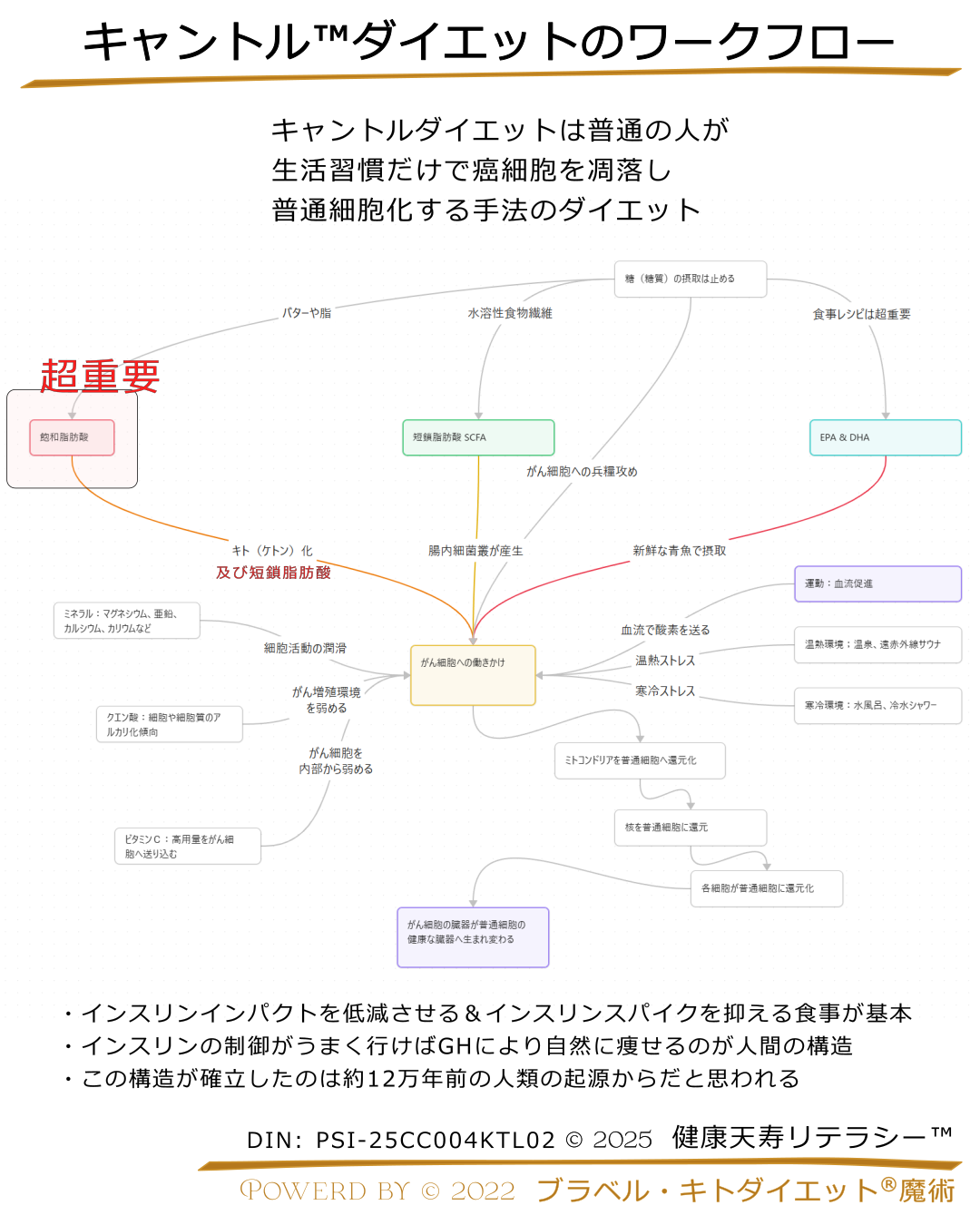キャントルダイエットワークフロー2