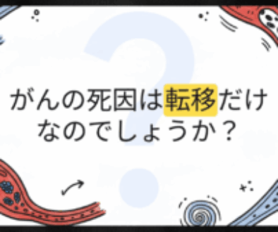 vlcsnap-2025-11-12-14h16m52s078